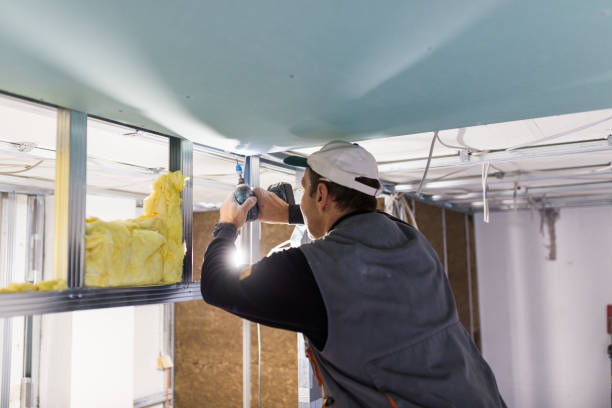 Best Specialized Insulation Services in Piedmont, SD