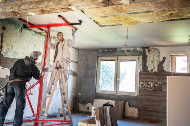 Best Eco-Friendly Insulation in Piedmont, SD